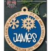 chr0148 snowflake customize ornament 01