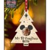 chr0164 baby picture 1st christmas ornament 01